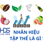 NHÃN HIỆU TẬP THỂ