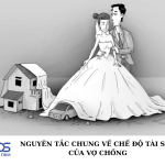 Nguyên tắc chung về chế độ tài sản của vợ chồng