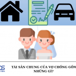 Tài sản chung của vợ chồng gồm những gì?