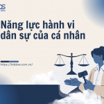 Năng lực hành vi dân sự của cá nhân