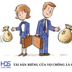 Tài sản riêng của vợ chồng là gì?