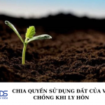 Chia quyền sử dụng đất của vợ chồng khi ly hôn