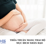 Thỏa thuận mang thai hộ vì mục đích nhân đạo