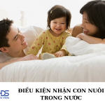 Điều kiện nhận con nuôi trong nước