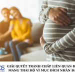 Giải quyết tranh chấp liên quan đến mang thai hộ vì mục đích nhân đạo