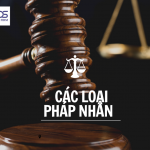 Các loại pháp nhân