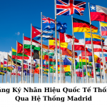 Đăng Ký Nhãn Hiệu Quốc Tế Thống Qua Hệ Thống Madrid