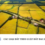 Các loại đất theo Luật Đất đai 2023