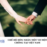 Chế độ hôn nhân một vợ một chồng tại Việt Nam