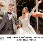 Thế nào là không đạt được mục đích hôn nhân?