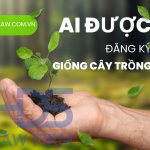 AI ĐƯỢC ĐĂNG KÝ GIỐNG CÂY TRỒNG