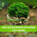 Xác lập quyền đối với giống cây trồng