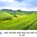 Chủ sở hữu đất đai tại Việt Nam là ai?