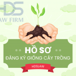 HỒ SƠ ĐĂNG KÝ GIỐNG CÂY TRỒNG