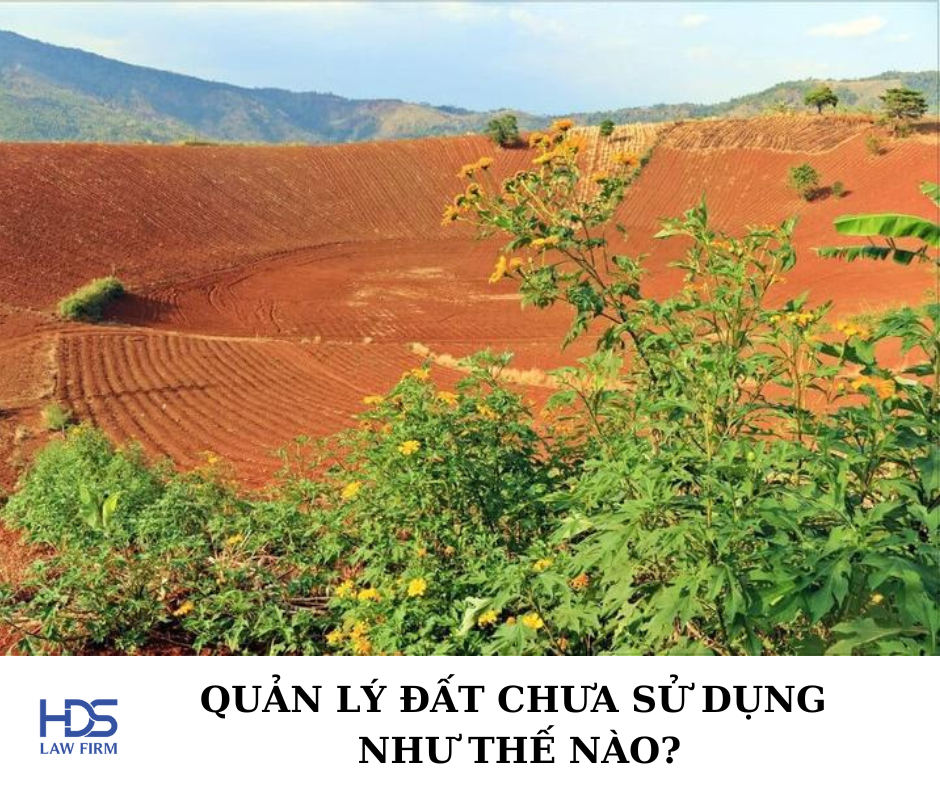 Quản lý đất chưa sử dụng như thế nào?