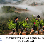 Quy định về cộng đồng dân cư sử dụng đất